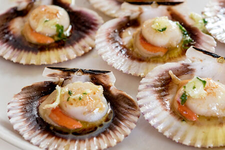 zamburinas-a-la-plancha-cotolay